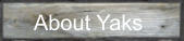 About Yaks